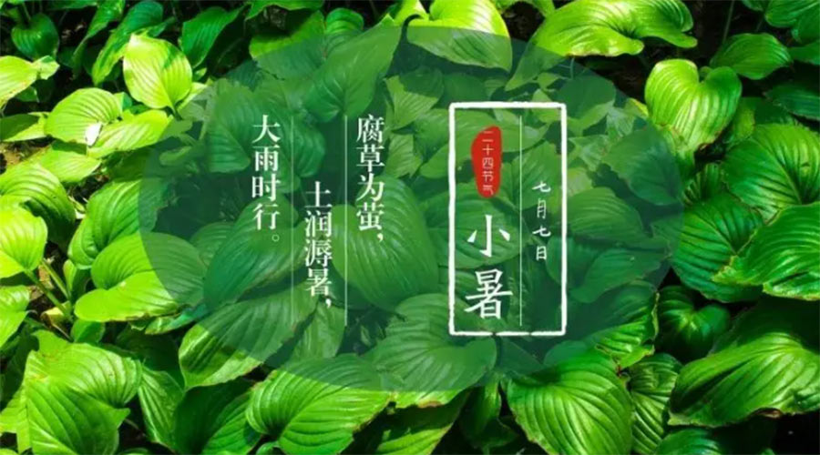 小暑時節(jié)來到！金環(huán)電器提醒大家要注意的事項