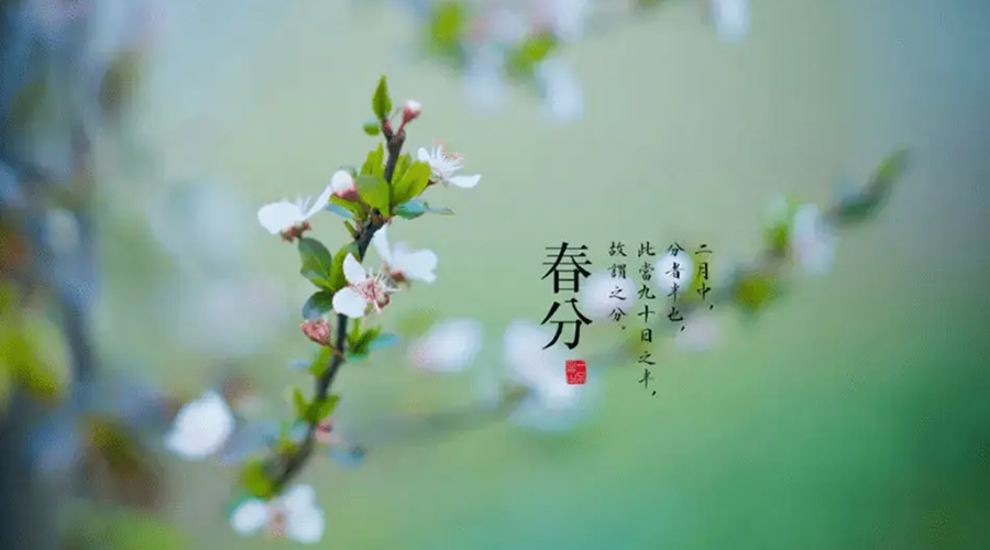 春分雨水多易生菌！金環(huán)電器提醒你衣物要注意處理